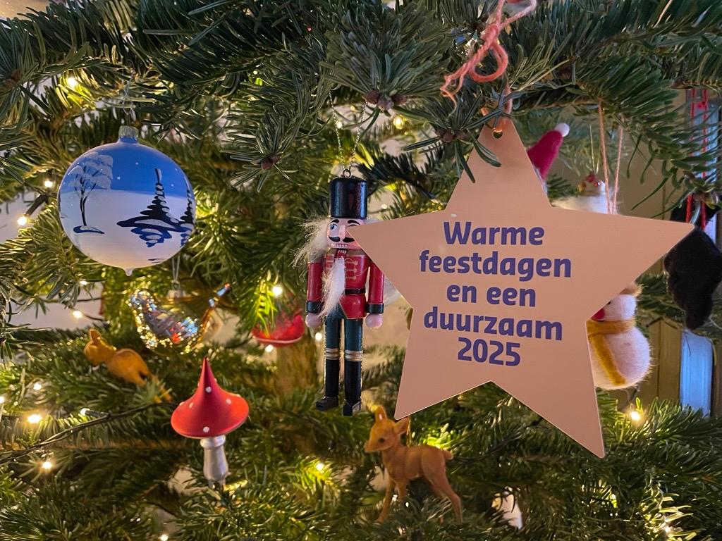 Kerstster in boom